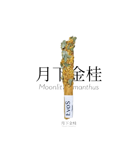 EVOSENSATION-天然香薰棒-月光桂花
