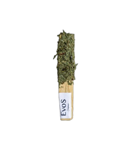 EVOSENSATION-天然木质香薰棒-雪松森林