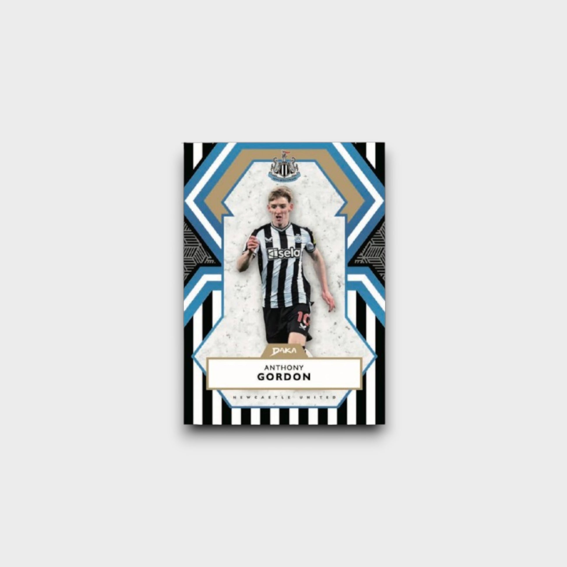 Boîte Hobby DAKA Newcastle United 2023-24